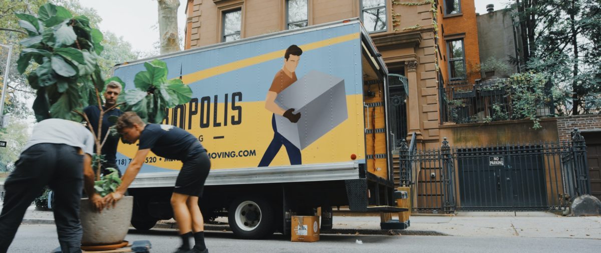Moving apartments in NYC: Two packers help move a huge potted plant for a new resident moving in NYC